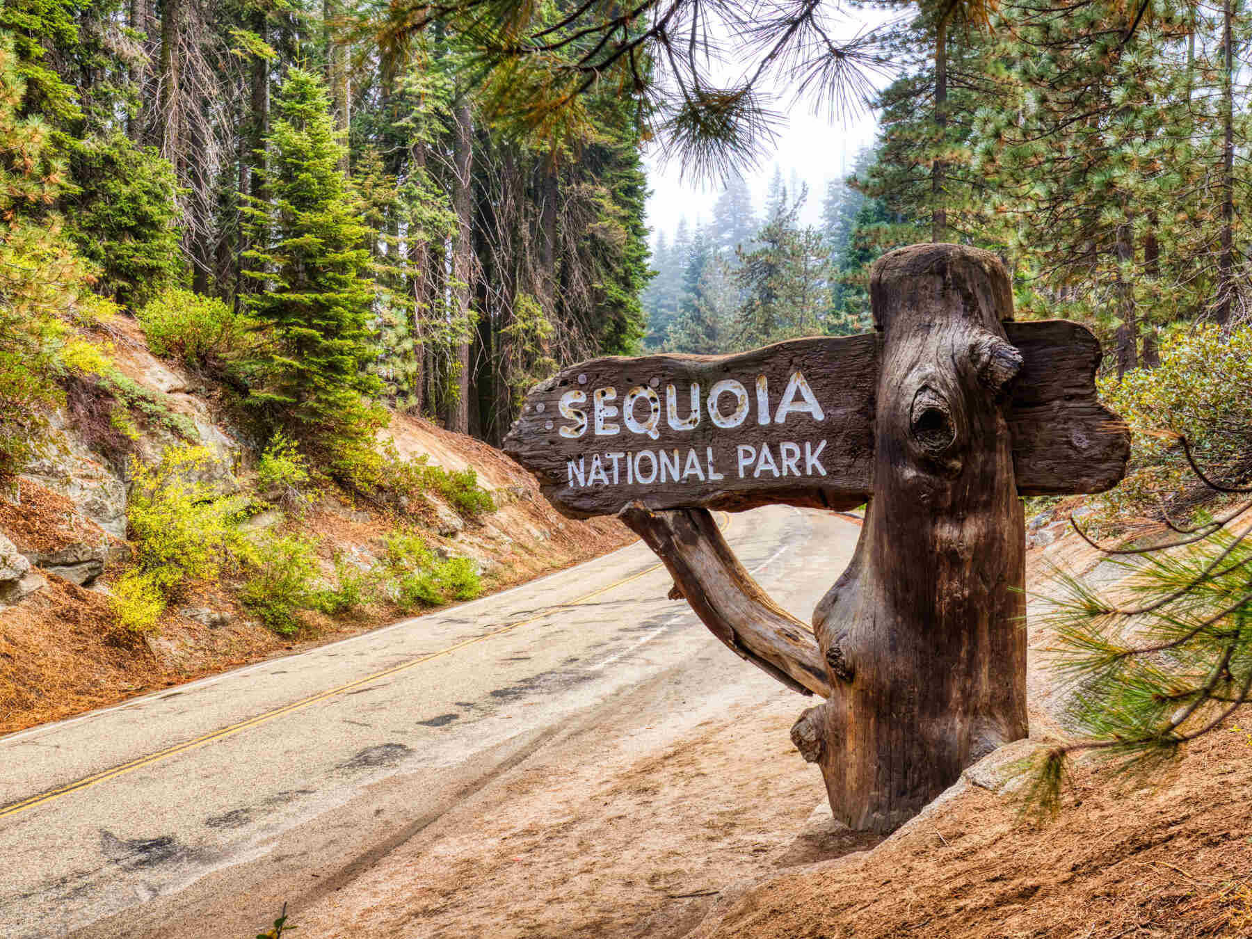 POI 2 Tour Image