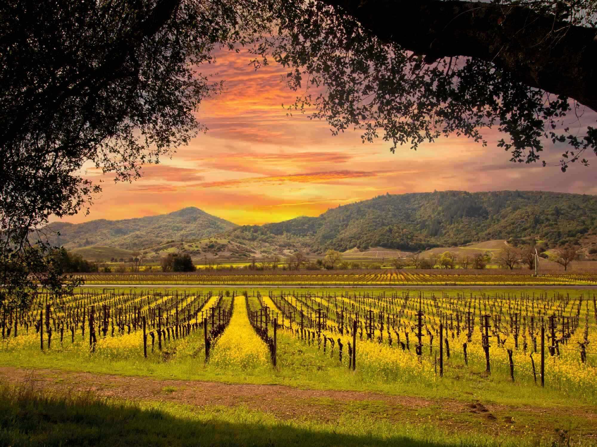 Egyptian Museum 